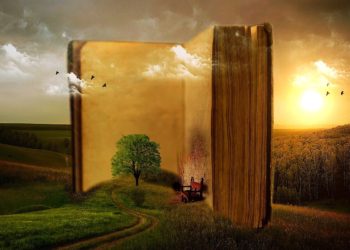 book-the-solitaire-mystery