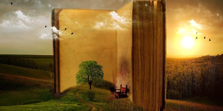 book-the-solitaire-mystery