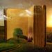book-the-solitaire-mystery