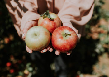 a-person-holds-three-apples