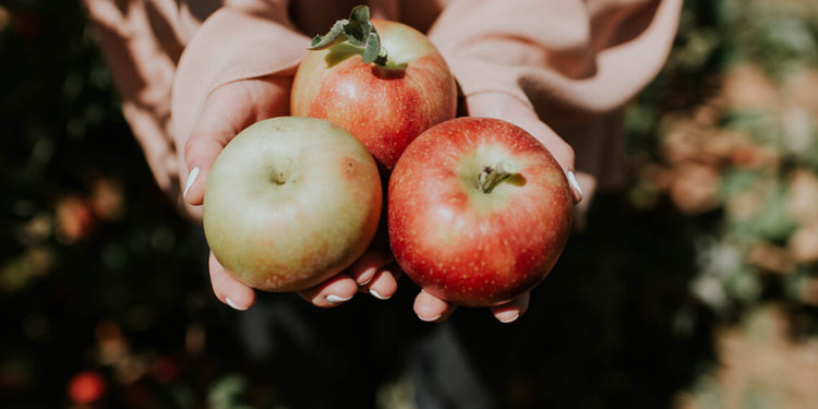 a-person-holds-three-apples