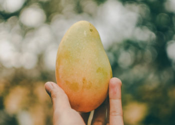 a-mango-holding-in-hand