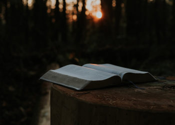 an-open-book-resting-on-a-log