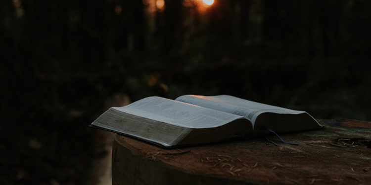 an-open-book-resting-on-a-log